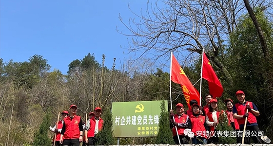 党建强引领，，，，共植先锋林